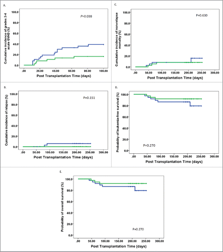 Figure 5. Outcome of allogeneic stem cell transplantations in the cohort of patients. (A) Grades II–IV acute GVHD, (B) relapse, (C) non-relapse mortality, (D) disease-free survival, and (E) overall survival. Patients receiving a high dose of Bregs in allografts (more than or equal to 1.63 × 107 Breg cells infused/kg) (n = 37): green line; subjects receiving a high dose of Bregs in allografts (less than 1.63 × 107 Breg cells infused/kg) (n = 37): blue line.