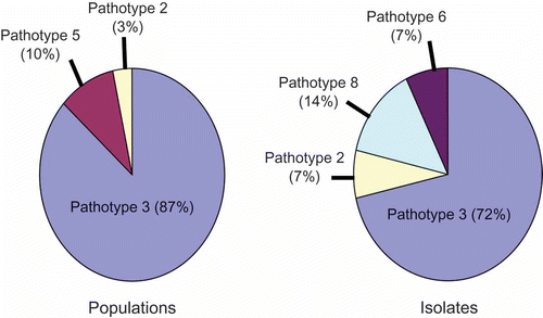 Fig. 2. Pathotype composition of Plasmodiophora brassicae field populations and single-spore isolates collected from canola in Alberta, as defined on the differential set of Williams (Citation1966).