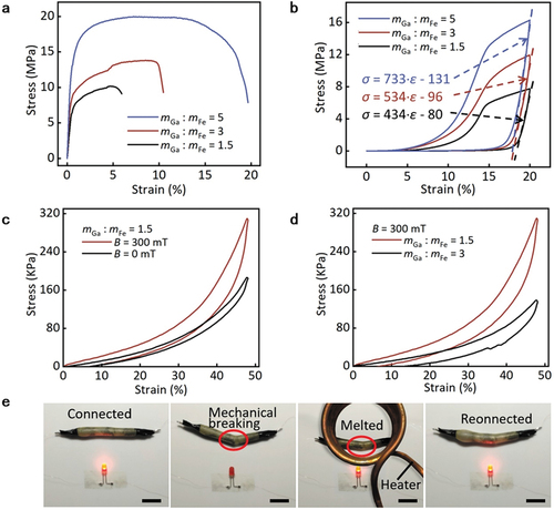 Figure 4. Characterization of mechanical properties of Ga-based LMMS wires. Stress–strain curves of the solid-state Ga-based LMMS wires with three different mass ratios under (a) tension and (b) compression. (c) Stress–strain curves of the liquid-state LMMS wires within magnetic fields of 0 mT and 300 mT under compression. The mass ratio is 1.5. (d) Stress–strain curves of the liquid-state LMMS wires with mass ratios of 1.5 and 3 under compression. The magnetic field is 300 mT. (e) Photographs showing disconnection and self-healing of the circuit based on the Ga-based LMMS wire. Scale bar, 1 cm.