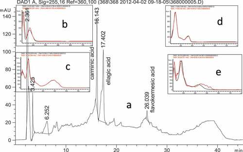 Figure 2. (a) Chromatograms of the dyed fabrics, (b) spectra of 6.252 RT (black line) and spectra of gallic acid (red line) (c) spectra of 16.143 RT (black line) and spectra of carminic acid (red line), (d) spectra of 17.402 RT (black line) and spectra of ellagic acid (red line), (e) spectra of 26.039 RT (black line) and spectra of flavokermesic acid (red line).