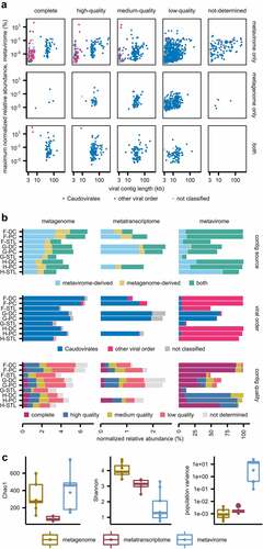 Figure 1. Viral contig annotation and alpha-diversity across metagenomic, metatranscriptome, and metaviromic datasets. (a) 2,171 viral contigs (VCs) were identified across metaviromic and whole metagenomic assemblies and are plotted by: dataset of origin, viral contig quality, maximum normalized relative abundance (NRA) in the metavirome in any given sample, contig length, and viral order. (b) NRA of viral contigs across multiomic datasets for each participant’s samples, annotated by source, taxonomy, and quality. (c) Boxplots of Chao1, Shannon diversity and population variance by multiomic dataset. *p-value < 0.05; **p < .001. DC: distal colon, PC: proximal colon, STL: stool.