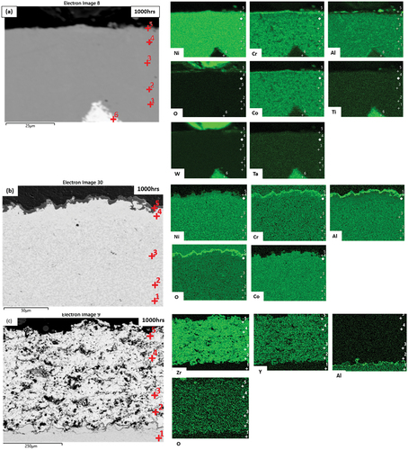 Figure 7. Backscattered and EDX maps for test 1 exposed for 1000 h. (a) CM247, (b) CM247 + SC2464, and (c) CM247 + SC2464 + 8YSZ.