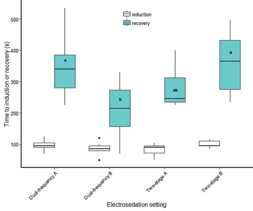 FIGURE 3. Induction and recovery times for lean Lake Trout electrosedated with a Portable Electrosedation System unit (Smith-Root, Inc.) at four different settings (see Table 1 for a description of each setting). The upper and lower boundaries of the box represent the 25th and 75th percentiles, respectively. The solid line in the middle of each box represents the median, the whiskers represent range of data, and the dots indicate outliers. Lowercase letters indicate significant differences.