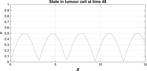 Figure 5 The probability density function for the motor proteins in a tumor cell when no drug was injected.