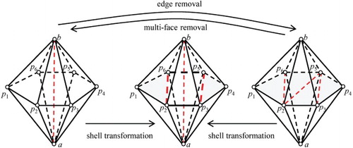 Figure 9. Illustration for the proposed shell transformation operation; the shell transformation considers all three of the mesh configurations shown in this figure, which correspond to three types of triangulation schemes for the skirt polygons: untriangulated (left), partially triangulated (middle) and completely triangulated (right).