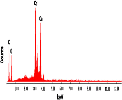 Fig. 9c EDX of CAS after adsorption of Cd2+.