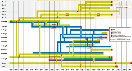 Figure 3. Spatio-temporal reconstruction of trade between zoos and private holdings with confirmed VSBV-1 positive squirrels. Timeline of squirrel presence and trading routes, including human cases and detection of VSBV-1-positive squirrels. Each horizontal line, differently coloured to illustrate the host species, represents the presence of at least one squirrel of that species at the named location over time. The vertical coloured lines indicate the trading route of one or more squirrels from one location to another at the distinct point in time. Squirrel holdings in zoos are shown in shaded areas. Filled red boxes on the coloured lines represent the quarter of the year in which one or more VSBV-1 positive squirrels were detected in the respective institution. Red frames mark the time period of reported neurological disease of proven, probable and possible human VSBV-1 encephalitis cases. Red arrows mark the assumed transfer of one or more infected squirrels. Streamlining was performed by omitting unaffected squirrels and holdings with no ties to affected animals and institutions, respectively. Affected holdings without reliable data were also not included.