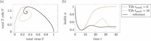 Figure 11. Effect of the medication time. (a) Phase plot of summed virus U and summed T cells V and (b) health during two treatments 2 and a reference infection course (solid). The medication doses and parameters are identical in both medications, only the medication times change. The treatment with tmed∈{6,9,12} leads to a healing infections course, whereas the infection with medication times tmed∈{16,19,22} remains chronic.