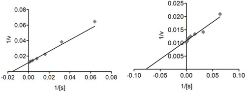 Figure 6 Lineweaver–Burk plots of acetylcholinesterase inhibition representing the reciprocal of initial enzyme velocity versus the reciprocal of substrate concentration in the presence of Compound 2 and galantamine.