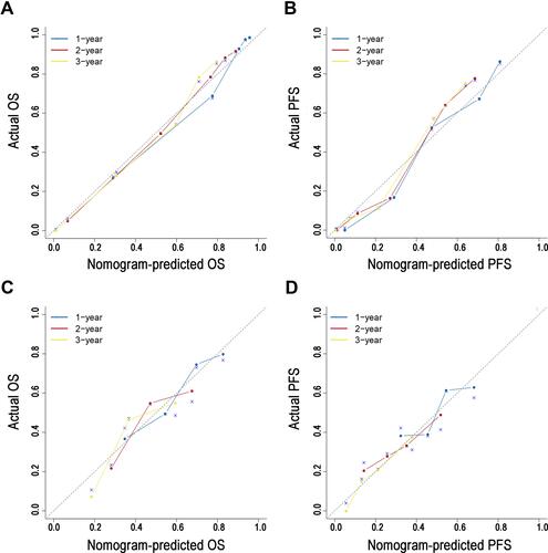 Figure 4 The calibration curve for predicting patient survival at 1-, 2- and 3-year OS and PFS in the primary (A and B) and validation (C and D) cohorts, respectively.