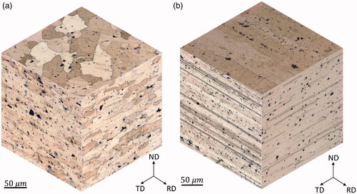 Figure 1. 3D optical micrographs of base materials grain structure in T3 heat treatment condition (a) AA2024 and (b) AA2198.