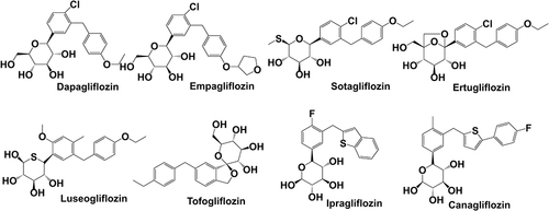 Figure 3 Chemical structure and molecule weight of SGLT-2 inhibitors. Dapagliflozin(2013) MF:C21H25ClO6 MW:408.88; Empagliflozin(2014) MF:C23H27ClO7, MW:450.91; Sotagliflozin(2019) MF:C21H25ClO5S MW:424.94; Ertugliflozin(2017) MF:C22H25ClO7 MW:436.88; Luseogliflozin(2014) MF:C23H30O6S MW:434.55; Tofogliflozin(2014) MF:C22H26O6 MW:386.44; Ipragliflozin(2014) MF:C21H21FO5S MW:404.45; Canagliflozin(2013) MF:C24H25FO5S MW:444.52.
