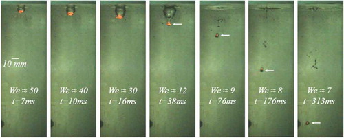 Figure 3. Time sequence snapshots depicting molten WO3-CaO droplet quenched in water pool.