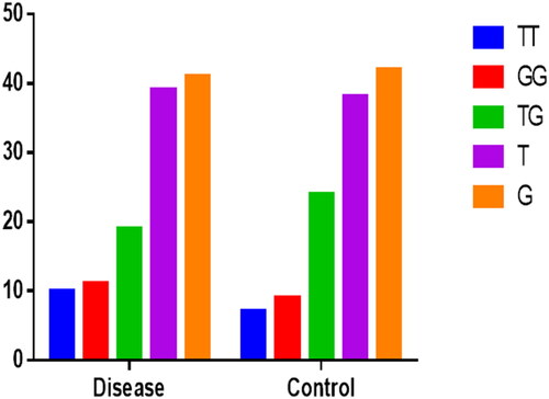 Figure 1. Genotype distribution among the two study groups.