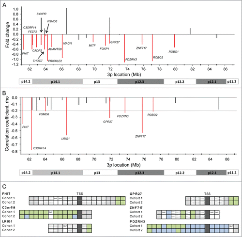Figure 3. Identification and validation of silenced genes. (A) Difference in expression of 26 hypermethylated genes between tumors and normal cervical samples. The mean fold change based on 3 external datasets (GSE6791, GSE7803, GSE9750) is shown for each gene. Seventeen genes which were significantly downregulated at an adjusted P ≤ 0.10 in at least one of the data sets are indicated in red and their symbol is listed. (B) Correlation coefficients (rho) from Spearman's rank correlation analysis of methylation (β-value) against expression for 26 hypermethylated genes in 147 cervical tumors (cohort 1). Only negative correlations are shown, and in cases of several methylation and expression probes for the same gene, the most significant probes are presented. The horizontal line indicates the cut-off significance level, corresponding to rho = −0.20 (adj P ≤ 0.10). Eight significant genes are indicated in red and their symbol is listed. (C) Schematic illustration of the CpG sites for 6 significant genes in (B), which were validated in cohort 2. Significant CpG sites are indicated in green (adj P ≤ 0.10) and not significant sites in blue for 147 patients in cohort 1 and 121 patients in cohort 2. Sites in white were filtered during preprocessing due to their location closer than 10 bp from a SNP or low variation across the patients (hatched white; IQR < 0.08). Gray sites were hypermethylated in <10% of the patients. TSS: transcription start site.