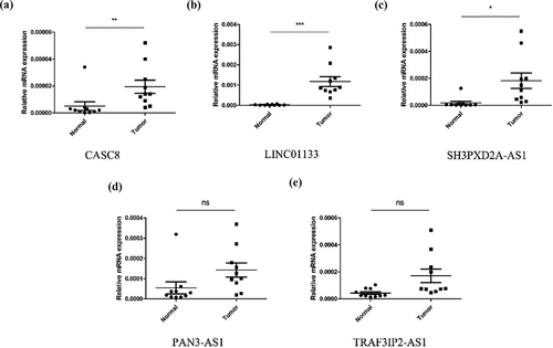 Figure 4. The expression level of CASC8 (a), LINC01133 (b), SH3PXD2A-AS1 (c), PAN3-AS1 (d) and TRAF3IP2-AS1 (e) mRNA in cancerous and normal tissues from our samples