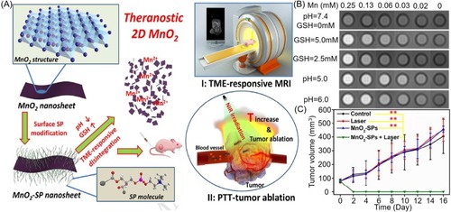 Figure 6 (A) Schematic illustration of synthetic procedure for MnO2-SPs nanosheets and their specific functions for tumor theranostics with TME sensitivity. (B) T1-weighted MR imaging of MnO2-SPs in buffer solution at differing pHs (6.0 and 5.0) and differing GSH concentrations (2.5 and 5.0 mM) following incubation for 2 hours at 37°C. (C) Time-dependent tumor-size curves following different treatments. Reproduced from Liu Z, Zhang SJ, Lin H, et al. Theranostic 2D Ultrathin MnO2 Nanosheets with Fast Responsibility to Endogenous Tumor Microenvironment and Exogenous NIR Irradiation. Biomaterials. 2018;155:54–63.Citation118 Copyright © 2017, with permission from Elsevier.Abbreviation: SP, soybean phospholipid.