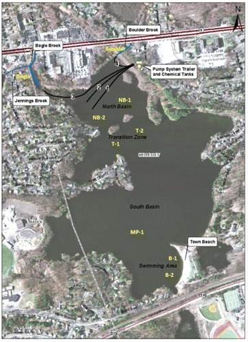 Figure 2. Phosphorus inactivation system layout and monitoring stations at Morses Pond, MA.