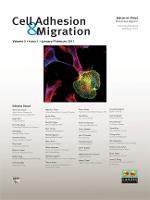 Cover image for Cell Adhesion & Migration, Volume 5, Issue 1, 2011