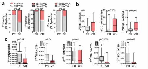 Figure 3. Lymphocytes and natural killer (NK) infiltration and activation in the non-cancerous esophageal mucosa after neoadjuvant therapy. Immunological markers in non-cancerous esophageal mucosa specimen of patients with pathological complete response (CR) and patients with partial or no response (PR) after neoadjuvant therapy were compared. (a) Epithelium (Ep) and lamina propria (LP) CD8 and CD107a expression were graded on a semiquantitative scale in the non-cancerous esophageal mucosa specimen of patients with CR and PR, and the frequency of patients with high markers expression (high) was compared with those of patients with no, low or moderate expression (low). Fisher exact test was performed. (b) CD8+, CD107+ and CD57+ cells counts were compared in patients with PR vs patients with CR. (c) IFNG, TNF, T-bet, PD1 and PD-L1 mRNA expression were compared in patients with PR vs patients with CR. Mann-Whitney U test was performed. Data are represented as boxplots showing median and min to max values.