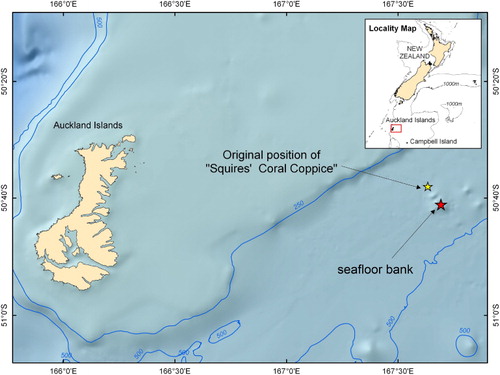 Figure 1 Locality map showing the original position of ‘Squires’ Coral Coppice’ (1965) and the position of the seafloor bank that was the target of the 2011 multibeam survey. The bathymetry shown is from the digital elevation model generated to identify likely targets for the coppice. Bathymetric contours are every 250 m. The map projection is WGS84/Mercator 41 (EPSG: 3994).