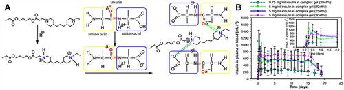 Figure 5 (A) Schematic diagram of the complexes between PAE and amino acid of insulin. Reprinted from Huynh DP, Nguyen MK, Pi BS et al Functionalized injectable hydrogels for controlled insulin delivery. Biomaterials. 2008;29(16):2527–2534. Copyright 2008, with permission from Elsevier.Citation89 (B) The plasma release profile of insulin in SD rats. Reproduced from Huynh DP, Im GJ, Chae SY et al Controlled release of insulin from pH/temperature-sensitive injectable pentablock copolymer hydrogel. J Control Release. 2009;137(1):20–24. Copyright 2009, with permission from Elsevier.Citation90