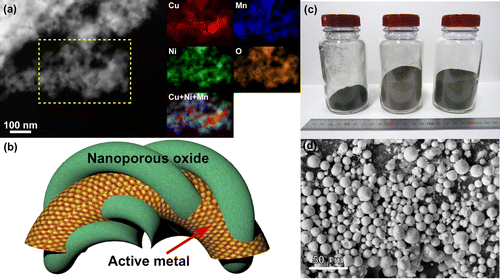 Figure 5. (a) Microstructures of nanoporous CuNiMnO after NO reduction durability testing. The obtained STEM image and EDS chemical maps of the selected area show the distributions of Cu (red), Ni (green), Mn (blue), and O (orange) elements. (b) A schematic diagram of the new concept of catalyst design, in which the active metal is tangled with the nanoporous oxide. The described system exhibits higher density of the perimeter interfaces as compared to that in the conventional nanoparticle/oxide system. (c) A photograph of the mass-produced nanoporous CuNiMnO catalysts. (d) An SEM image of the gas-atomized micropowders after dealloying. Panels (a), (c), and (d) adapted from Ref. [Citation82]. © WILEY-VCH Verlag GmbH & Co. KGaA, Weinheim.
