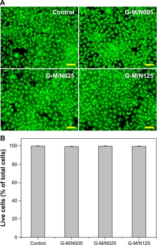 Figure 6 Cell viability of and mean percentage of live cells in bovine corneal endothelial cell cultures.