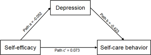 Figure 1 Schematic model of depression as the mediator between self-efficacy and self-care behaviors.