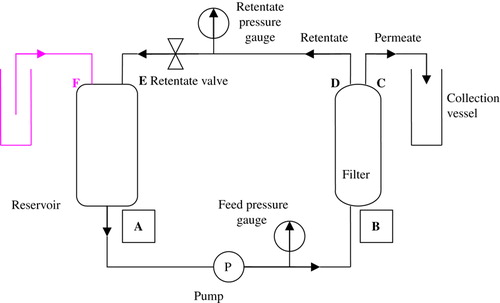 Figure 2.  Schema of experimental setup. A: Outflow from reservoir. B: Feed In port of filter. C: Permeate Out port of filter. D: Retentate Out port of filter. E: Retentate In port of reservoir. F: Diafiltration medium In port of reservoir. Upper left: additional elements for diafiltration setup (vessel with distilled water, tubing attached to airtight opening in reservoir).