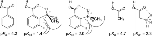 Figure 4 Effects of hydrogen-bonding contact of amine cations on acid pKas.