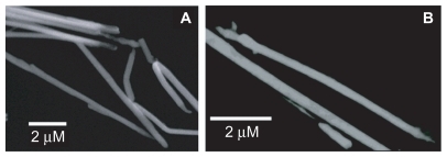 Figure 3 Electron micrograph of Ni NWs. (A) SEM of Ni NWs; (B) TEM of Ni NWs.Abbreviations: SEM, scanning electron microscopy; TEM, transmission electron microscopy.