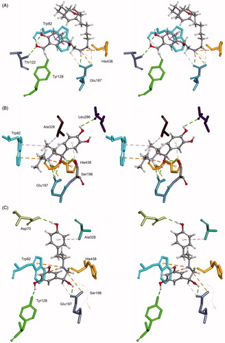 Figure 4. Computational molecular modelling of β2-agonists and human BChE (PDB ID 2PM8). Stereo view of salmeterol (A), isoetharine (B) and fenoterol (C) in the active site of usual BChE. Ligands create H bonds with residues (green dashed lines). Hydrophobic π–π interactions with aromatic residues are represented as cyan-dashed lines and π–cation interactions are represented as orange-dashed lines. The hydrogen atoms of the residues have been omitted for better visibility.