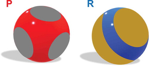 Figure 4 The patchy colloid model can be used along with simulations to produce phase diagrams of systems undergoing protein phase separation. Models of a protein-like particle (P) (left) and a regulatory particle (R) (right). The grey spots on P represent the interacting regions and the red sphere underneath represents the repulsive region. Proteins can have any number of patches on their surface, and the patches could have any orientation on the sphere itself. The orange spots on R represent the interacting regions, and the underlying blue sphere represents regions that have no interactions. This basic representation for the patchy colloid model can be altered in many ways to give different results, such as increasing the number or orientation of patches on either P or R, changing the interaction strength of the patches, or changing interaction distance of the patches. 