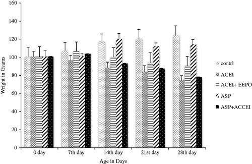 Figure 1. Body weight of control and treated rats during the experimental period of 28 days.