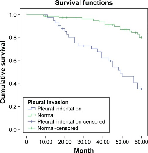 Figure 6 Survival curve of stage I non-small cell lung cancer patients with different computed tomography features of pleural invasion.