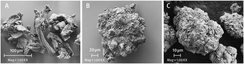 Figure 2. Example particle of (A) VIVAPUR® 102 (SEM micrograph, magnification of ×1000), (B) DI-CAFOS® A150 (SEM micrograph, magnification of ×1000), (C) DI-CAFOS® A60 (SEM micrograph, magnification of ×1000).