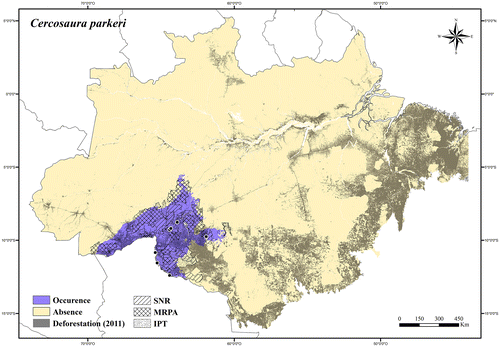 Figure 36. Occurrence area and records of Cercosaura parkeri in the Brazilian Amazonia, showing the overlap with protected and deforested areas.