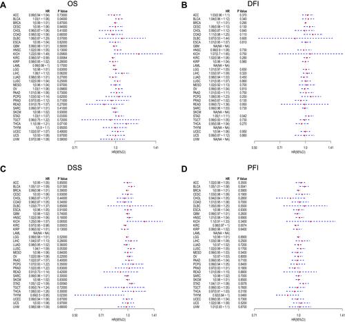 Figure 2 Forest plots of hazard ratios of FTO. (A) The forest plot of the relationship between FTO expression and OS across 33 tumors. (B) The forest plot of the relationship between FTO expression and DFI across 33 tumors. (C) The forest plot of the relationship between FTO expression and DSS across 33 tumors. (D) The forest plot of the relationship between FTO expression and PFI across 33 tumors.