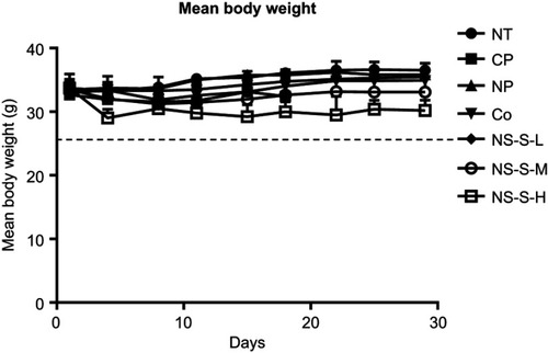 Figure 7 Average body weight of each group versus the day after the first dose. No statistical difference was observed in the body weights among different groups (n=7 in NT, CP, NP groups, n=10 in Co [5 mg/kg], NS-S-L [5 mg/kg], NS-S-M [25 mg/kg] and NS-S-H [50 mg/kg] groups).Abbreviations: NT, no treatment; CP, cosolvent placebo; NP, nanosuspension placebo; NS-S-L, NS-S of low dose; NS-S-M, NS-S of medium dose; NS-S-H, NS-S of high dose; NS-S, CZ48 nanosuspension with particle size of 197.22 ± 7.12 nm.