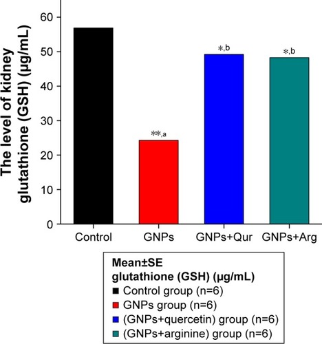 Figure 4 Effects of GNPs, GNPs+Qur, and GNPs+Arg on the kidney glutathione levels of the rats.Notes: aCompared with control group. bCompared with GNPs group. *P<0.05 and **P<0.01.Abbreviations: Arg, arginine; GNPs, gold nanoparticles; Qur, quercetin; SE, standard error.