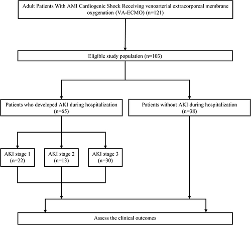 Figure 1 Study flow chart.