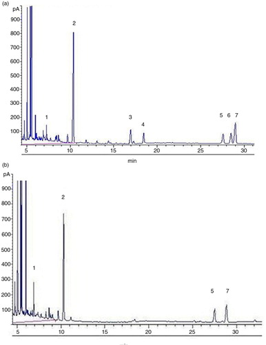 Fig. 1 Gas chromatographs of Smith degradation of LBP-d and LBP-e. a: LBP-d, b: LBP-e. 1: Glycerol, 2: erythritol, 3: fucose, 4: arabinose, 5: glucose, 6: mannose, 7: galactose.