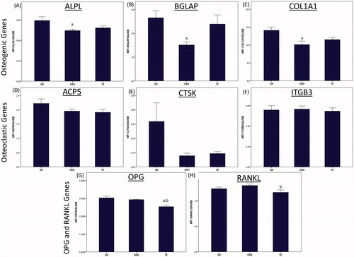 Figure 3. The gene expression of the study groups. Gene expression was measured from sample extracted from the metaphysial region of distal tibia using multiplex quantigene technique. The mRNA expression of the target gene was normalized with the mRNA expression of beta-glucuronidase. Orchidectomy decreased the expression of osteogenic genes significantly (p < 0.05). Testosterone treatment significantly decreased the gene expressions of OPG and RANKL (p < 0.05). Letter ‘a’ indicates significant difference (p < 0.05) versus the SH group; ‘b’ indicates significant difference (p < 0.05) versus the ORX group.