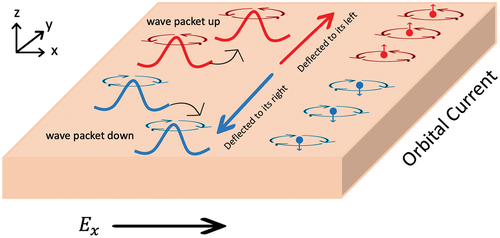 Figure 3. Sketch of the orbital hall effect due to intrinsic orbital angular momentum. Wave packets with different angular self-rotations can be deflected in different directions when an electric field is applied. This gives rise to an orbital current without charge current.