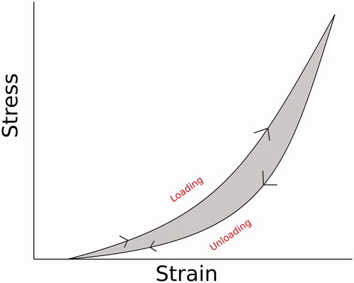 Figure 3. Schematic illustrating mechanical hysteresis. This curve demonstrates the different pathways taken during the loading and unloading phases of a nonlinearly elastic material. Mechanical hysteresis, the energy lost due to internal friction of the material, is the difference between these two pathways and is represented by the shaded area between the loading and unloading curves.