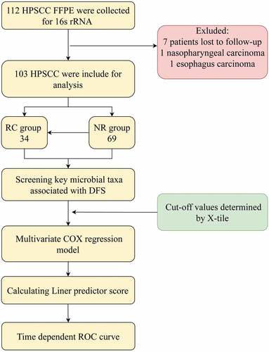 Figure 1. Flow chart of the current study procedure. HPSCC, hypopharyngeal squamous cell carcinoma; FFPE, formalin-fixed paraffin-embedded; RC, recurrence/metastasis; NC, nonrecurrence/metastasis; DFS, disease-free survival.