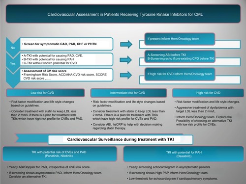 Figure 1 Proposed cardiovascular assessment and surveillance in patients receiving TKIs for CML.