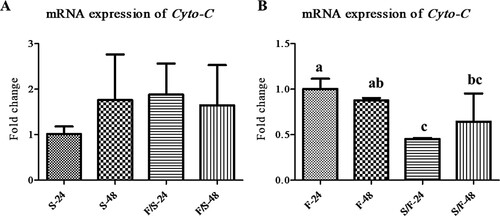 Figure 3. The expression of the apoptosis-related mRNA in the mono- and co-culture porcine fibroblast and satellite cells (n = 3). (a) Jeju black pig satellite cells. Here, S-24: monoculture satellite cells 24 h incubation; S-48: monoculture satellite cells 48 h incubation; F/S-24: co-culture satellite cells 24 h incubation; and F/S-48: co-culture satellite cells 48 h incubation. (b) Jeju black pig fibroblast. Here, F-24: monoculture fibroblast cells 24 h incubation; F-48: monoculture fibroblast cells 48 h incubation; S/F-24: co-culture fibroblast cells 24 h incubation; and S/F-48: co-culture fibroblast cells 48 h incubation. a-cThe mean relative expression of Cyto-C in the columns with different superscript letters differ significantly (p < 0.05) among the groups. Passage number of both cells was 4 in this experiment.