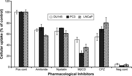 Figure 9 Effect of pharmacological inhibitors on PCL/MD uptake in PC3, DU145, and LNCaP.Notes: The role of endogenous cholesterol, macropinocytosis, clathrin, and clathrin-independent mechanisms was determined by prior treatment with methyl-β-cyclodextrin, amiloride, nystatin, and chlorpromazine respectively.Abbreviations: PCL, polycaprolactone; MD, maltodextrin; Pos cont, positive control; MβCD, methyl-β-cyclodextrin; CPZ, chlorpromazine; Neg cont, negative control.